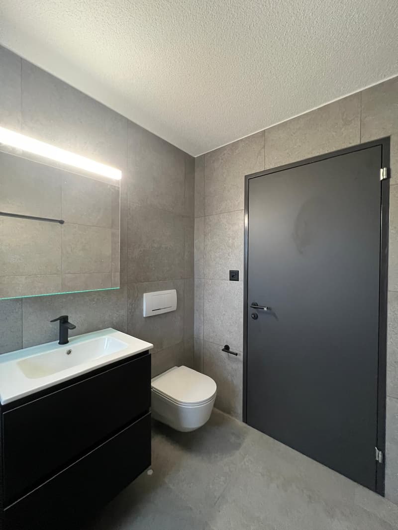 Charmantes renoviertes 2.5-Zimmer-Apartment (6)