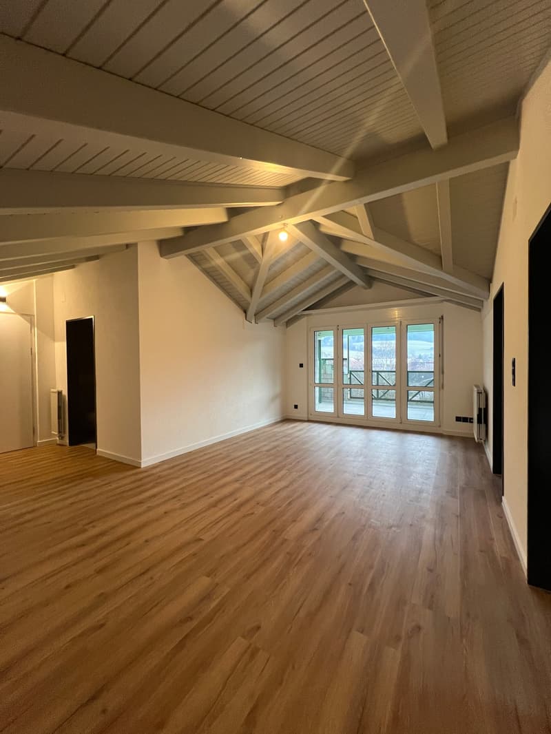 Magnifique appartement de 2.5 pces rénové (1)