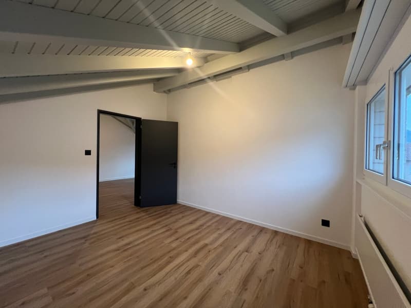 Magnifique appartement de 2.5 pces rénové (12)