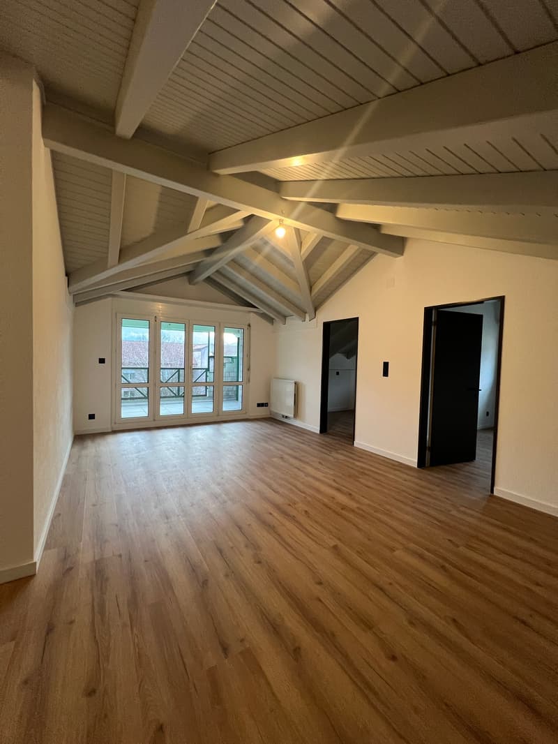 Magnifique appartement de 2.5 pces rénové (2)