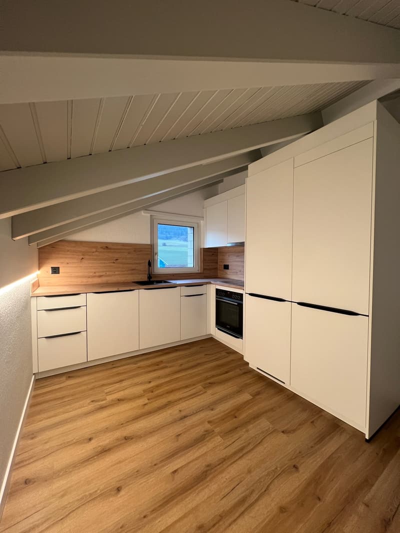 Magnifique appartement de 2.5 pces rénové (6)
