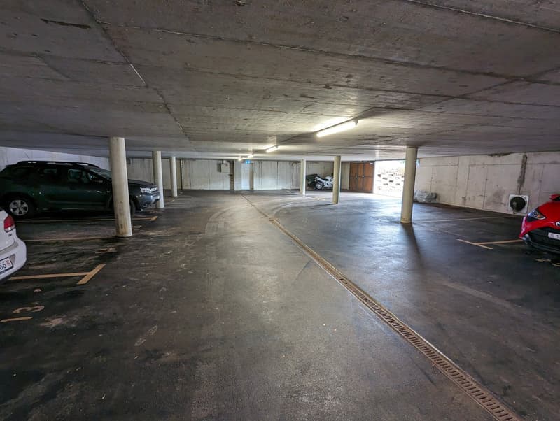 Magnifique appartement de 2.5 pces rénové (16)