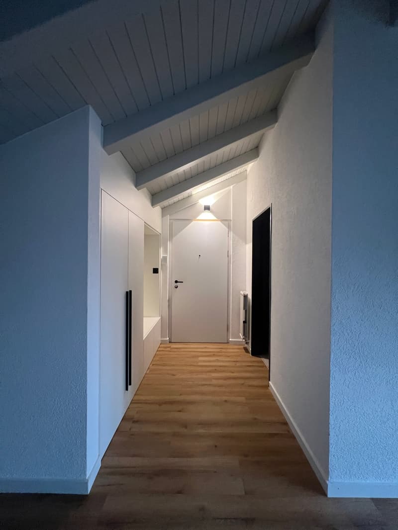 Magnifique appartement de 2.5 pces rénové (7)