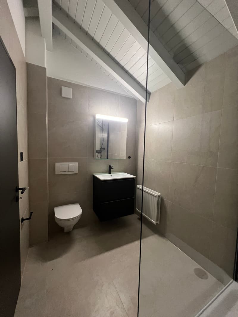 Magnifique appartement de 2.5 pces rénové (9)