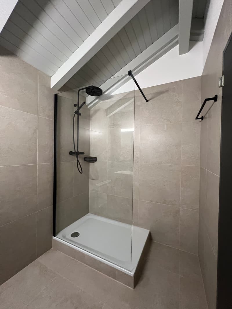 Magnifique appartement de 2.5 pces rénové (8)
