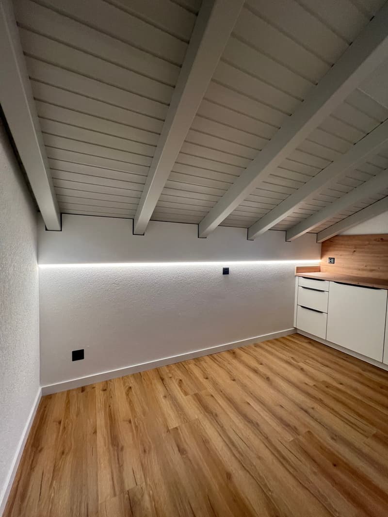 Magnifique appartement de 2.5 pces rénové (5)