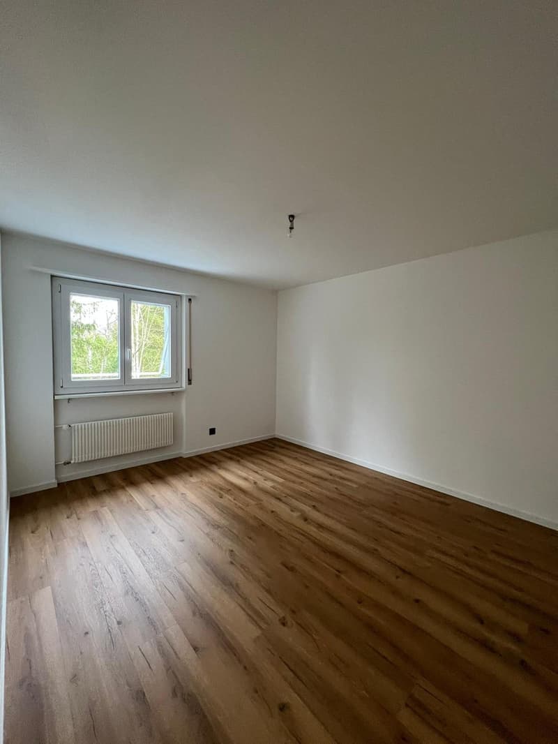 Superbe appartement de 4.5 pièces rénové (6)