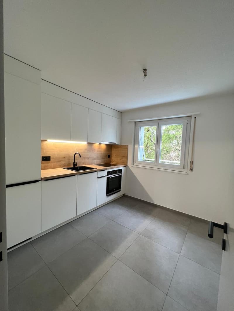 Superbe appartement de 4.5 pièces rénové (1)
