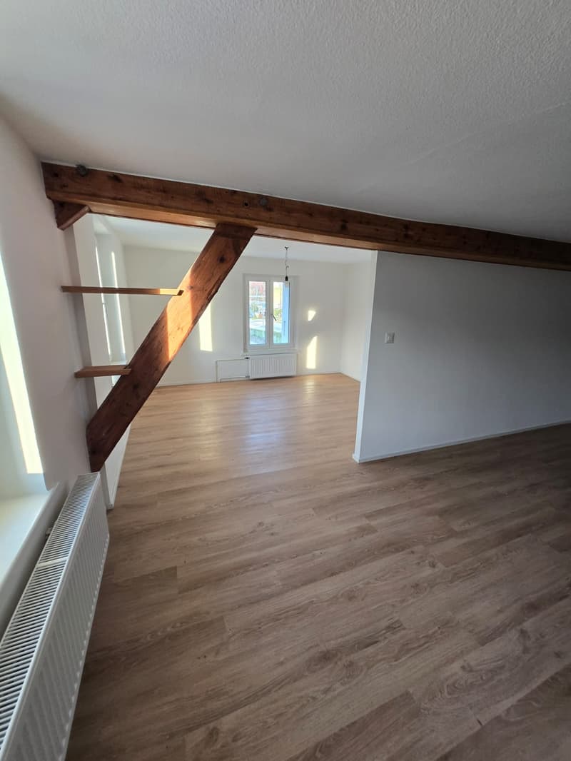 Joli 2.5 pièces rénové en 1ère location à Porrentruy (5)