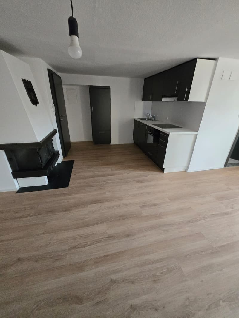 Joli 2.5 pièces rénové en 1ère location à Porrentruy (3)