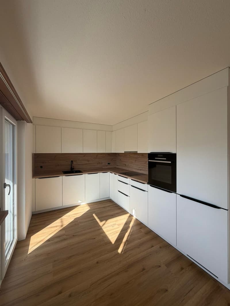 Magnifique appartement de 4.5 pièces rénové à neuf avec intérieur moderne (1)