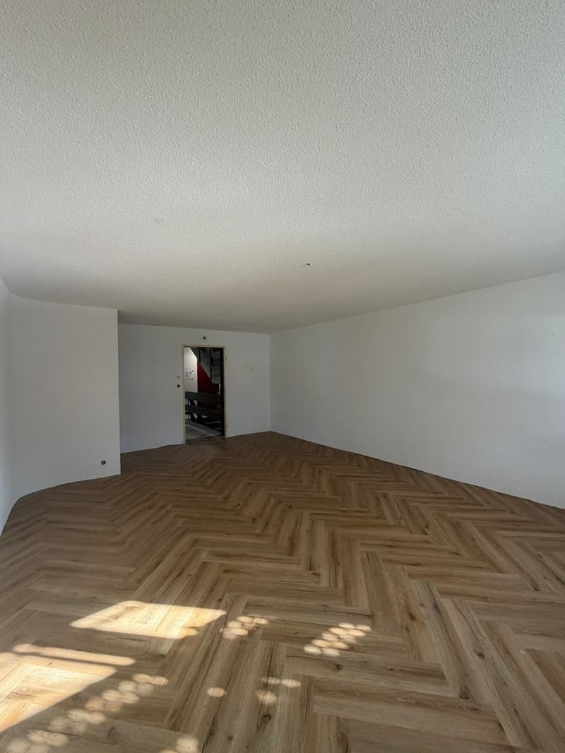 Magnifique appartement de 4.5 pièces rénové à neuf avec intérieur moderne (4)