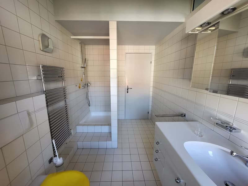 Grand appartement de 5.5 pièces à Delémont (15)
