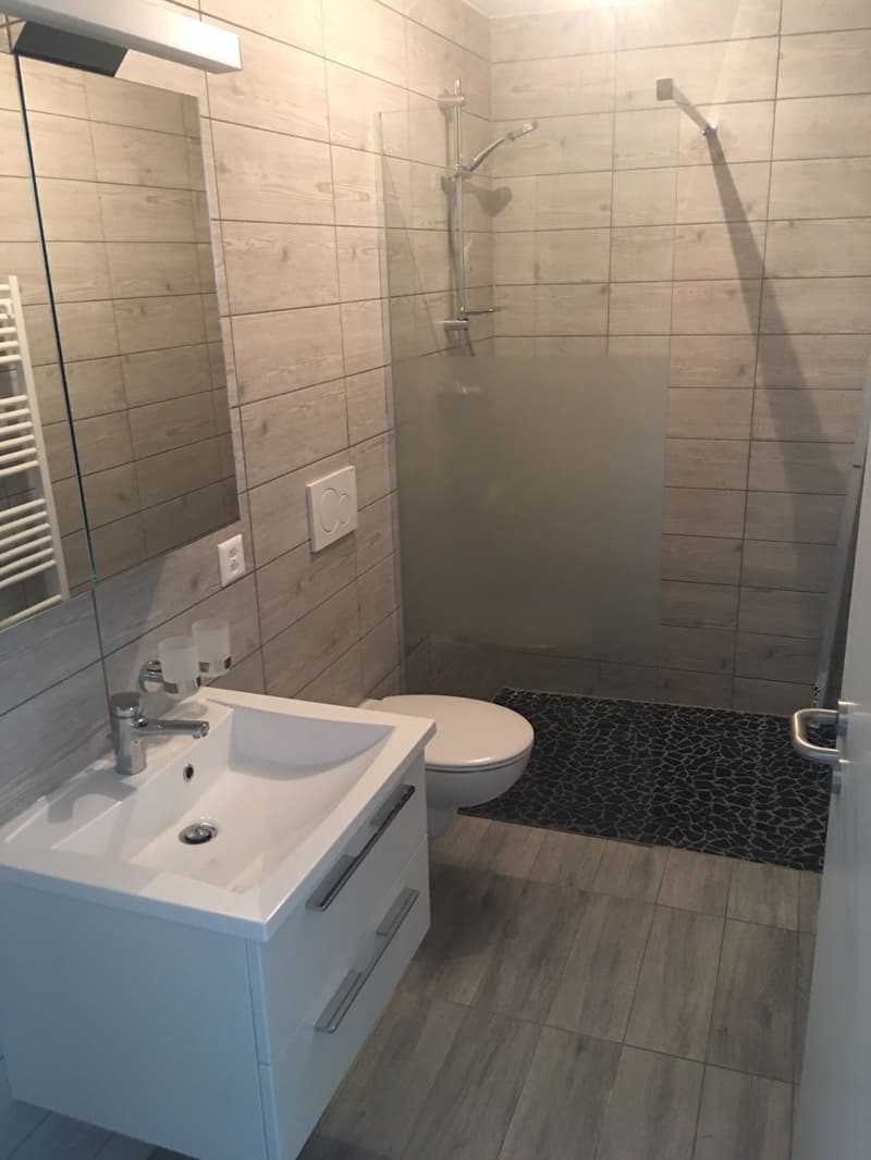Immeuble locatif de 5 appartements vers la gare (11)