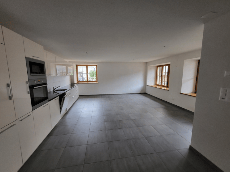 Immeuble de Rendement "Clé en Main" (2019) – 100% Loué – Courfaivre Centre (5)