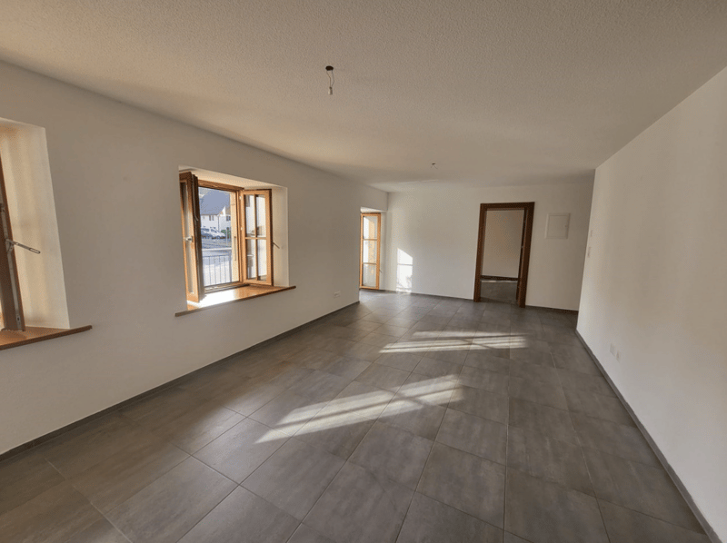 Immeuble de Rendement "Clé en Main" (2019) – 100% Loué – Courfaivre Centre (3)