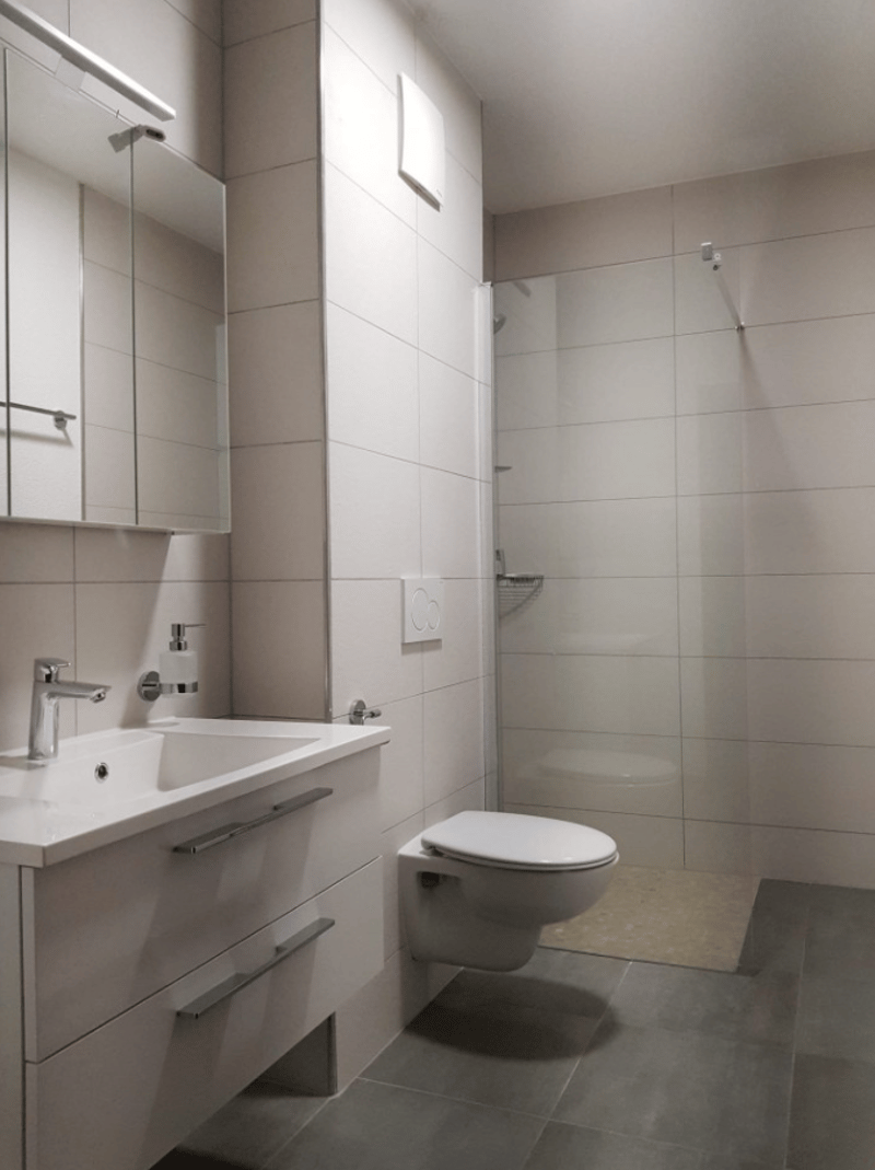 Immeuble de Rendement "Clé en Main" (2019) – 100% Loué – Courfaivre Centre (10)