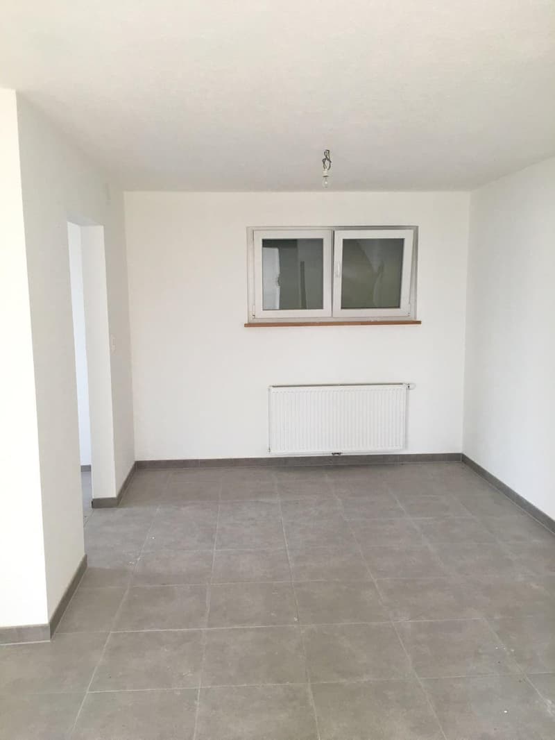 Immeuble locatif rénové avec restaurant et 2 appartements (13)