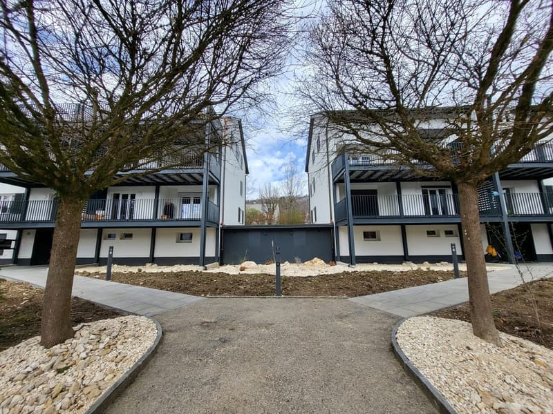 Magnifique appartement de 3.5pcs entièrement refait à Delémont (9)