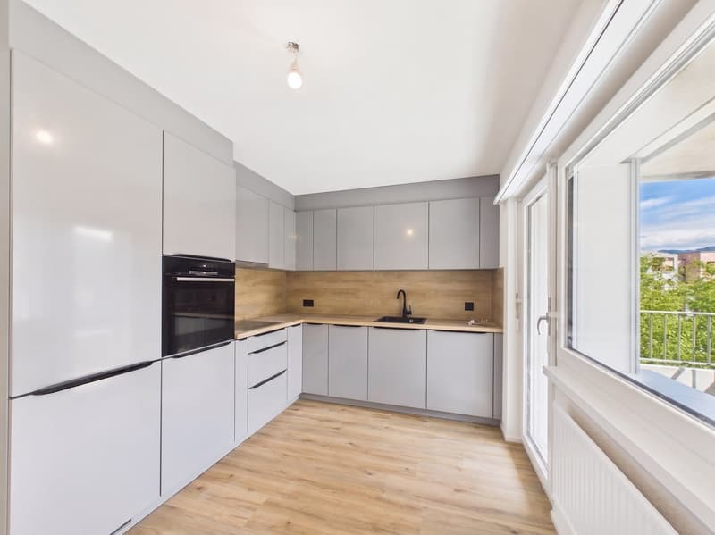 Superbe appartement de 3.5 pièces entièrement rénové au style moderne (1)