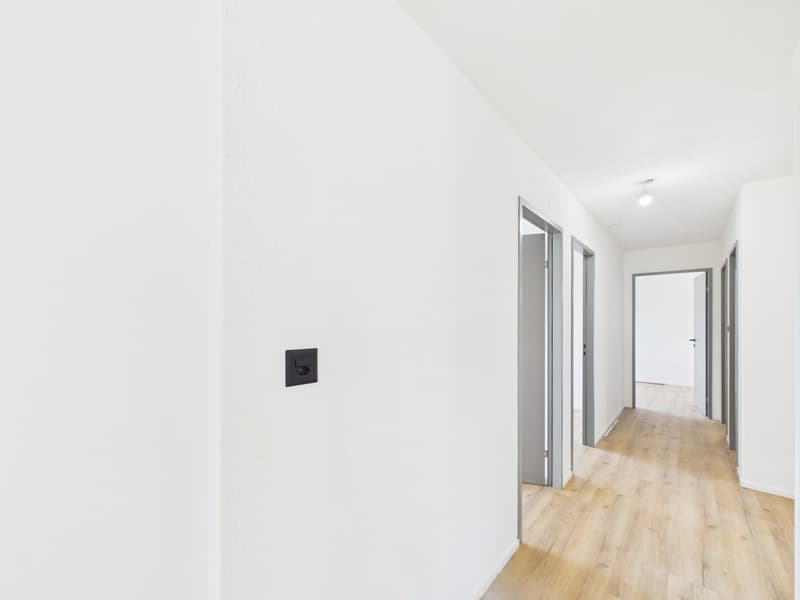 Magnifique appartement de 4.5 pièces rénové à neuf avec intérieur moderne (11)