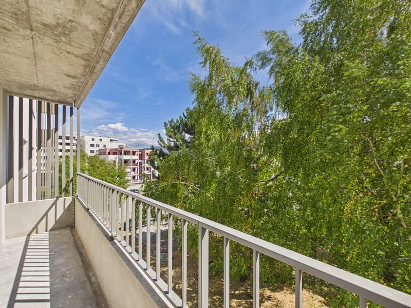 Magnifique appartement de 4.5 pièces rénové à neuf avec intérieur moderne (4)