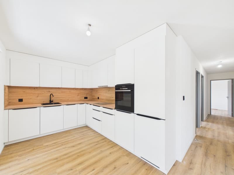 Magnifique appartement de 4.5 pièces rénové à neuf avec intérieur moderne (1)