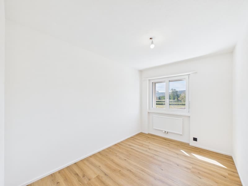 Magnifique appartement de 4.5 pièces rénové à neuf avec intérieur moderne (14)