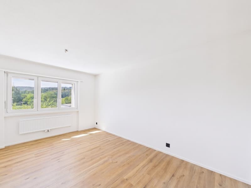 Magnifique appartement de 4.5 pièces rénové à neuf avec intérieur moderne (16)