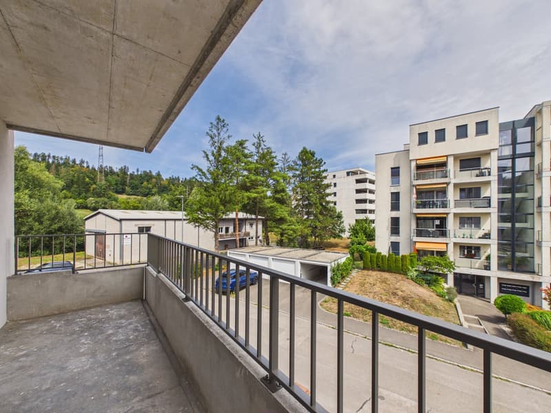 Magnifique duplex de 3.5 pièces entièrement rénové au style moderne (14)