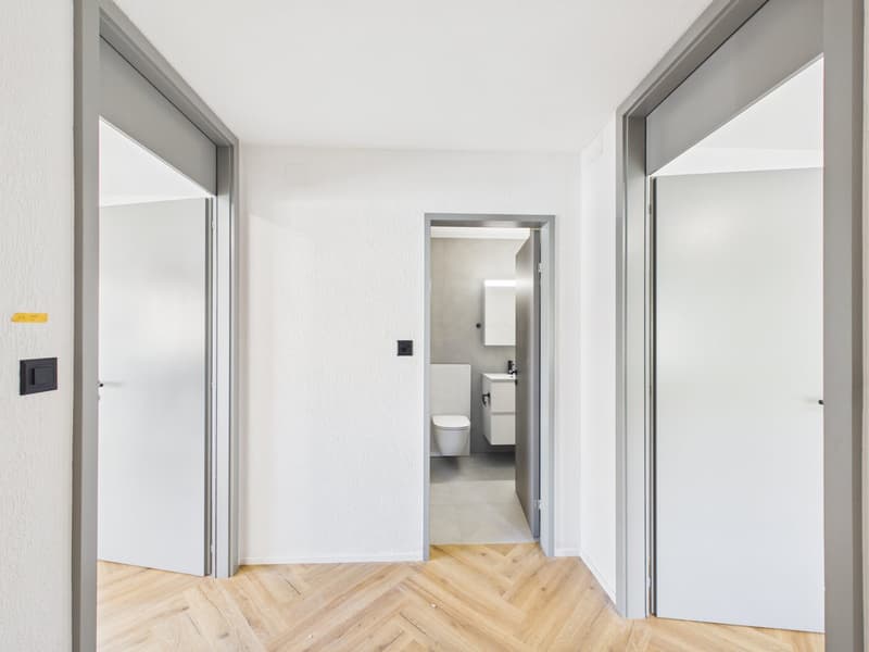 Magnifique duplex de 3.5 pièces entièrement rénové au style moderne (4)
