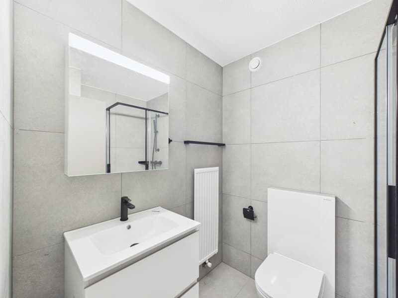 Magnifique duplex de 3.5 pièces entièrement rénové au style moderne (5)