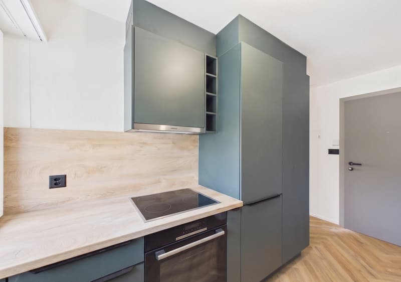 Magnifique duplex de 3.5 pièces entièrement rénové au style moderne (2)