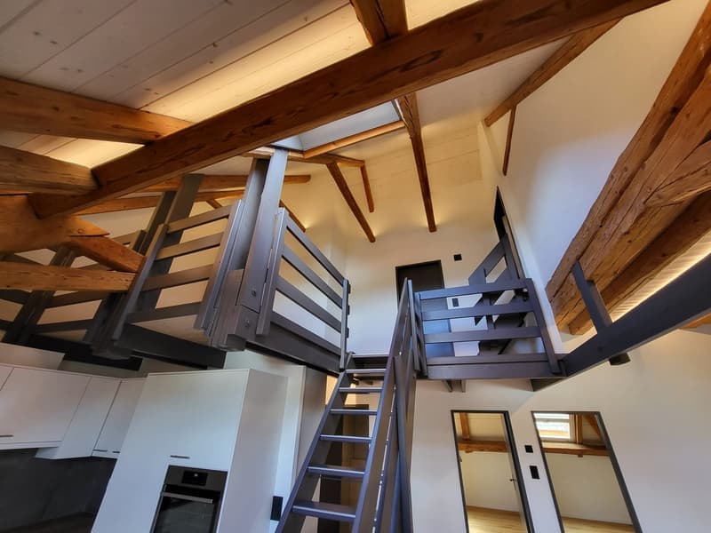 Magnifique 5.5 pièces en duplex à Courtételle (3)
