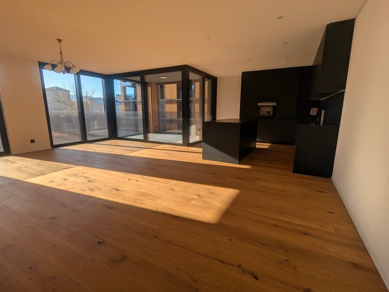 Très bel appartement 2,5 pces de haut standing (1)