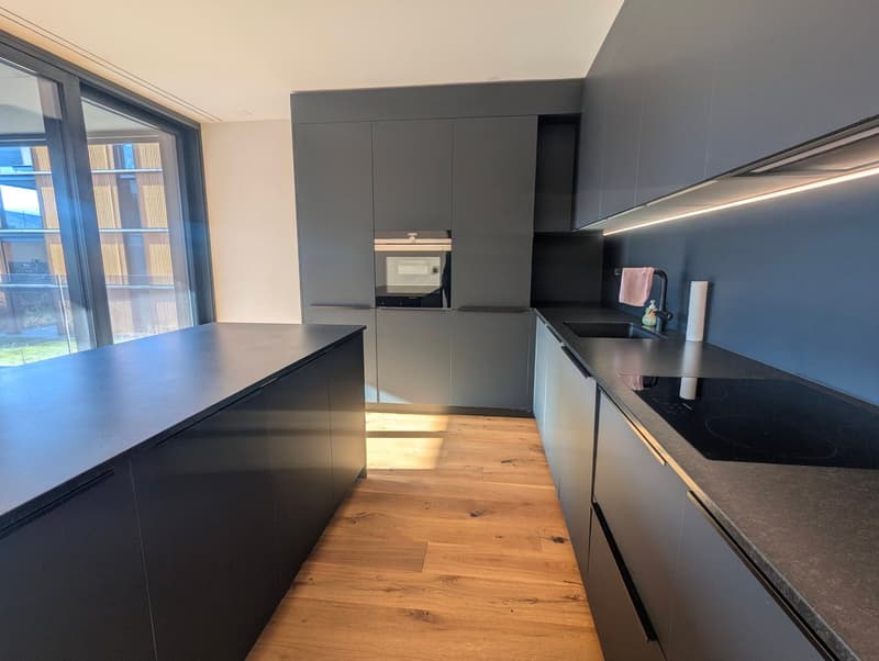 Très bel appartement 2,5 pces de haut standing (5)