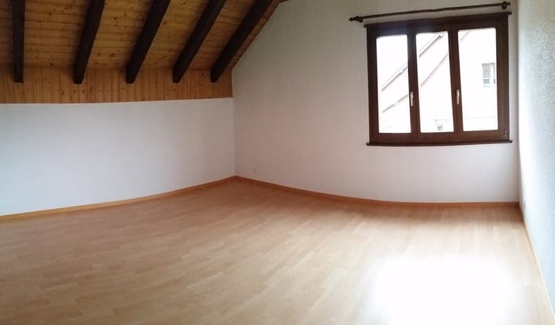 Charmant appartement de 5,5 pièces à Vicques (13)