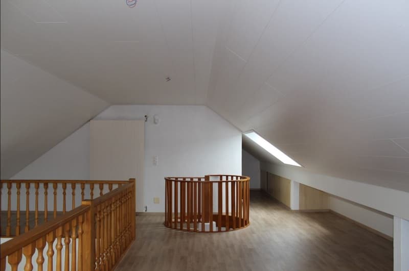 Charmant appartement de 5,5 pièces à Vicques (10)