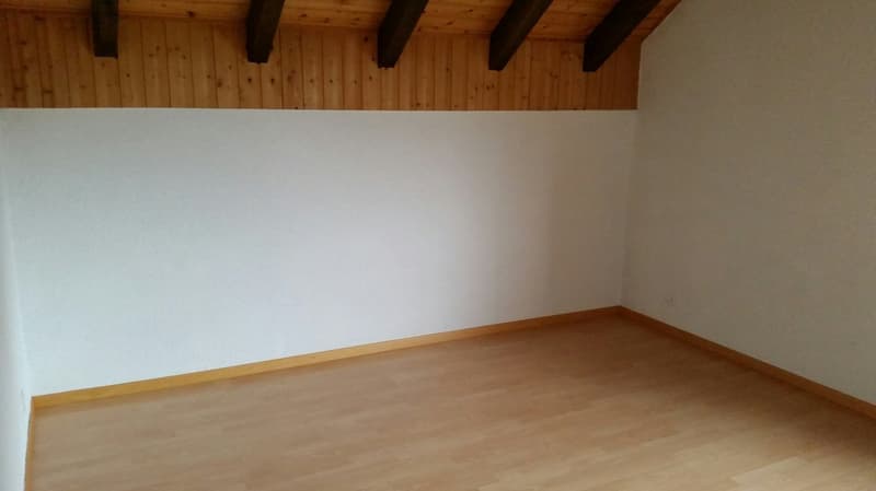 Charmant appartement de 5,5 pièces à Vicques (12)
