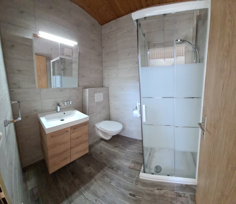Charmant appartement de 5,5 pièces à Vicques (19)