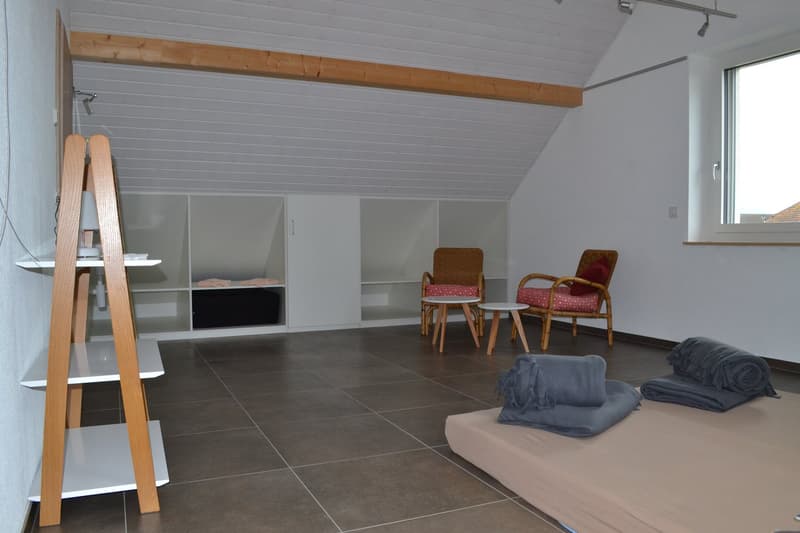 Prächtiges und geräumiges 3-Zimmer-Apartment (2)