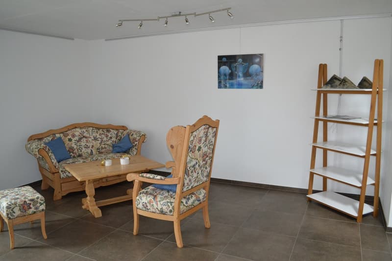 Prächtiges und geräumiges 3-Zimmer-Apartment (4)
