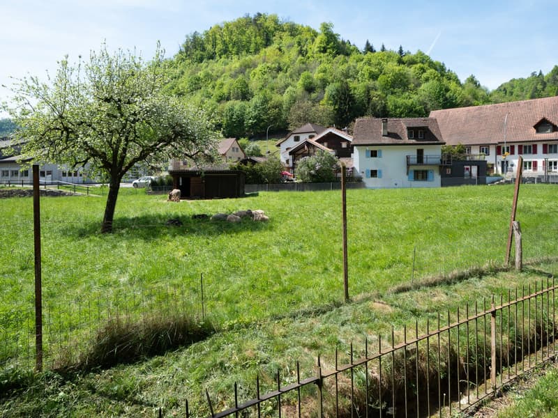 House with two apartments, garage, shed and terrace (5)
