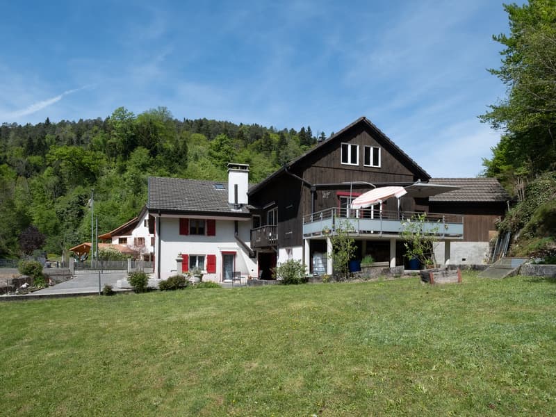 House with two apartments, garage, shed and terrace (2)