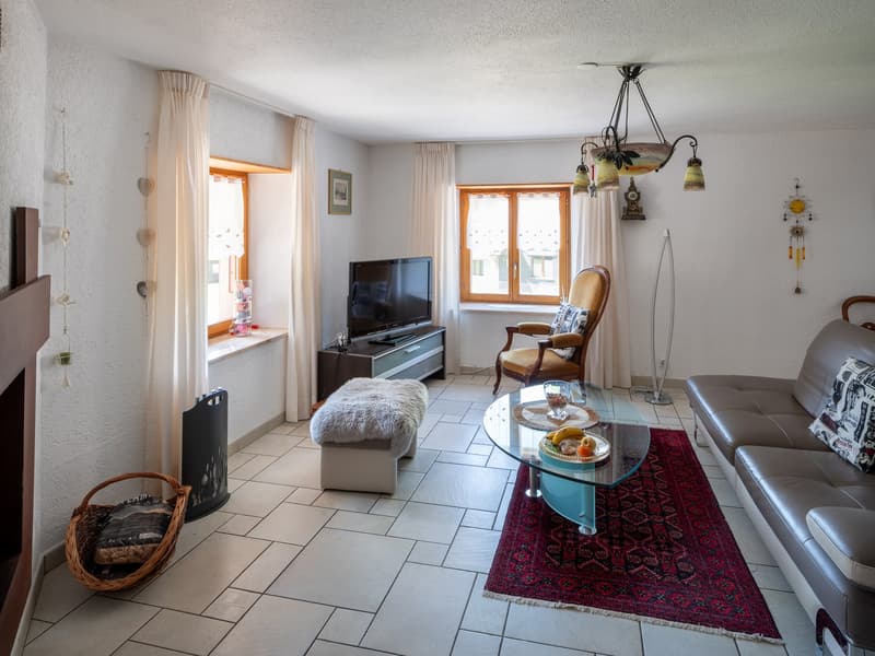 House with two apartments, garage, shed and terrace (13)