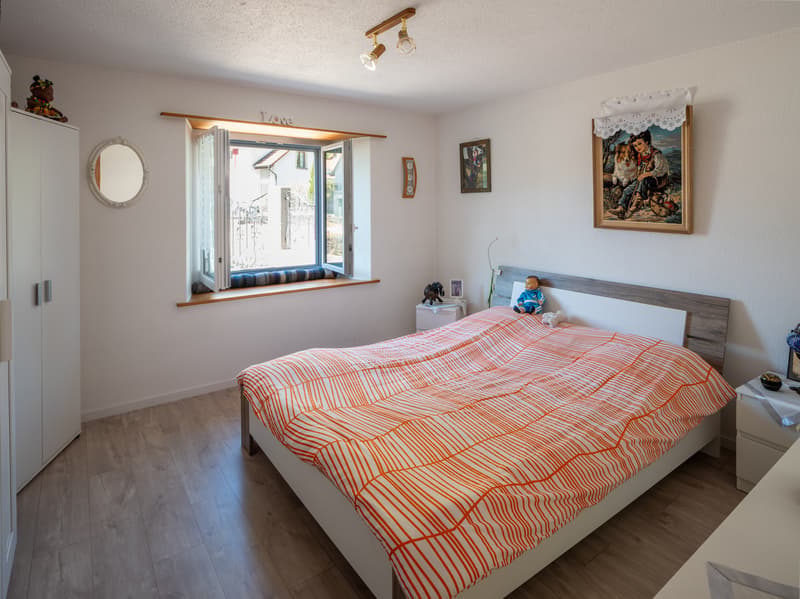 House with two apartments, garage, shed and terrace (18)