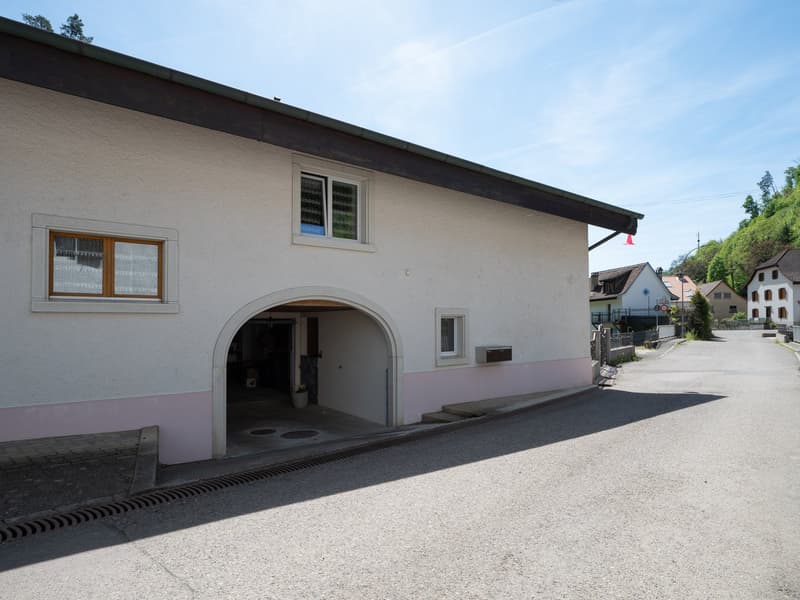 House with two apartments, garage, shed and terrace (7)