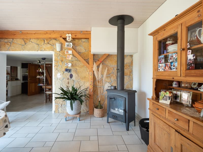 House with two apartments, garage, shed and terrace (10)