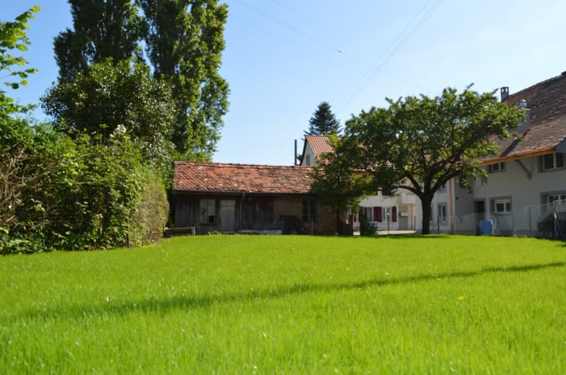 lawn, tree in the front, house at the back