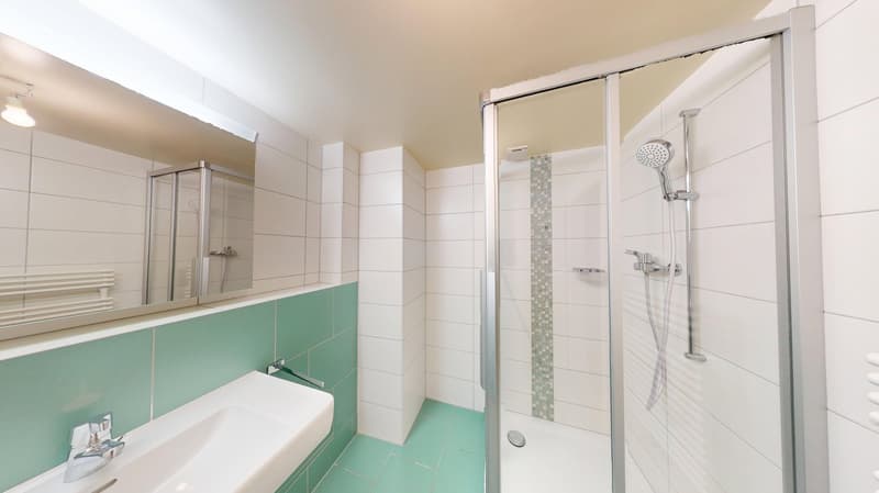 tiled walls, glass shower enclosure, modern faucet, mirror, green floor tiles, chrome fixtures